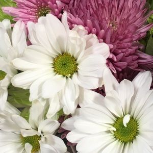 Meet your Posher, Cara